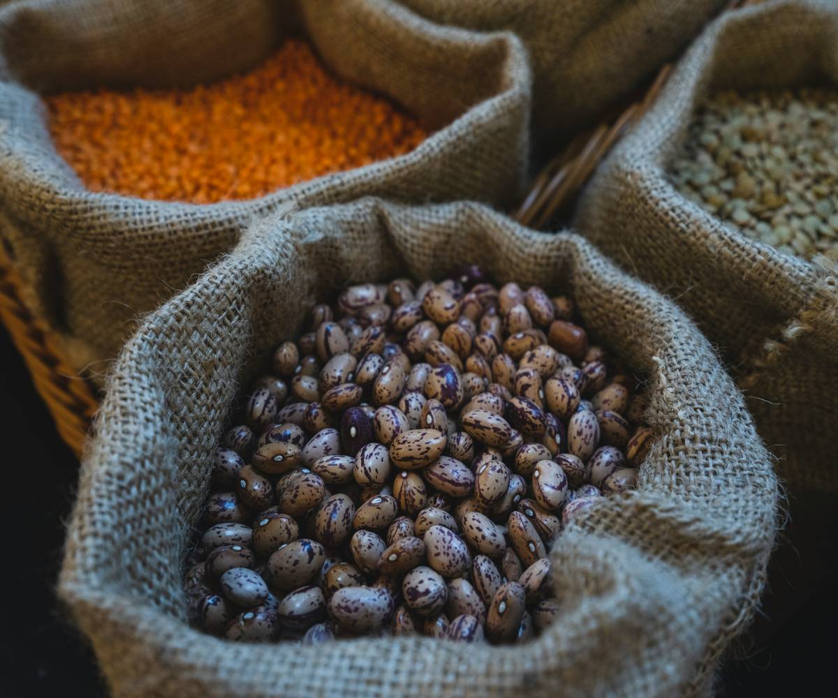 Proteína vegana