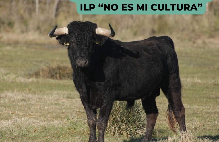 firmas contra la tauromaquia
