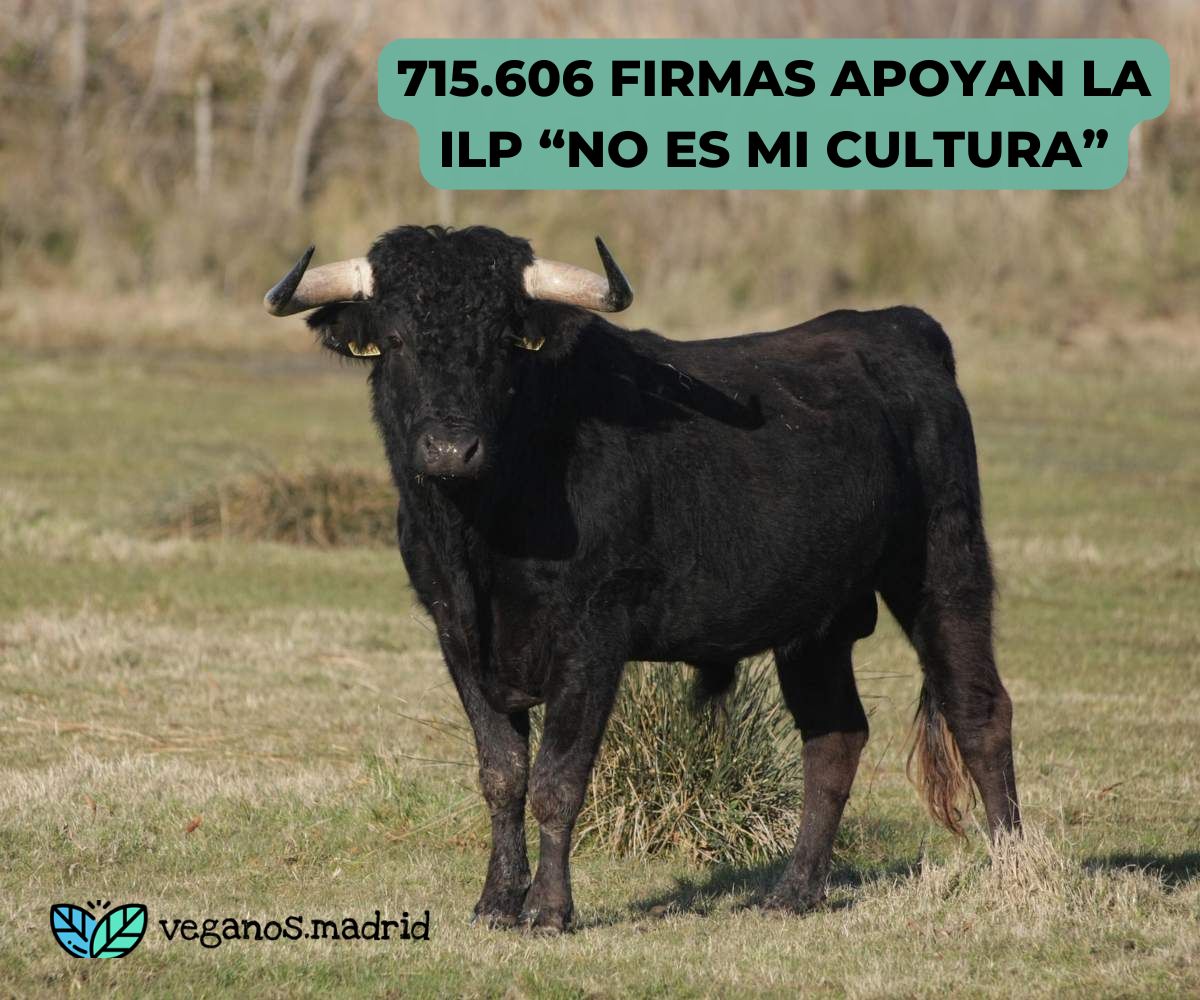 firmas contra la tauromaquia