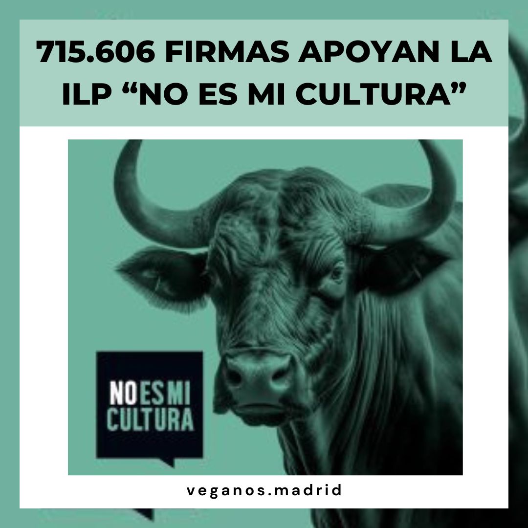 ILP tauromaquia